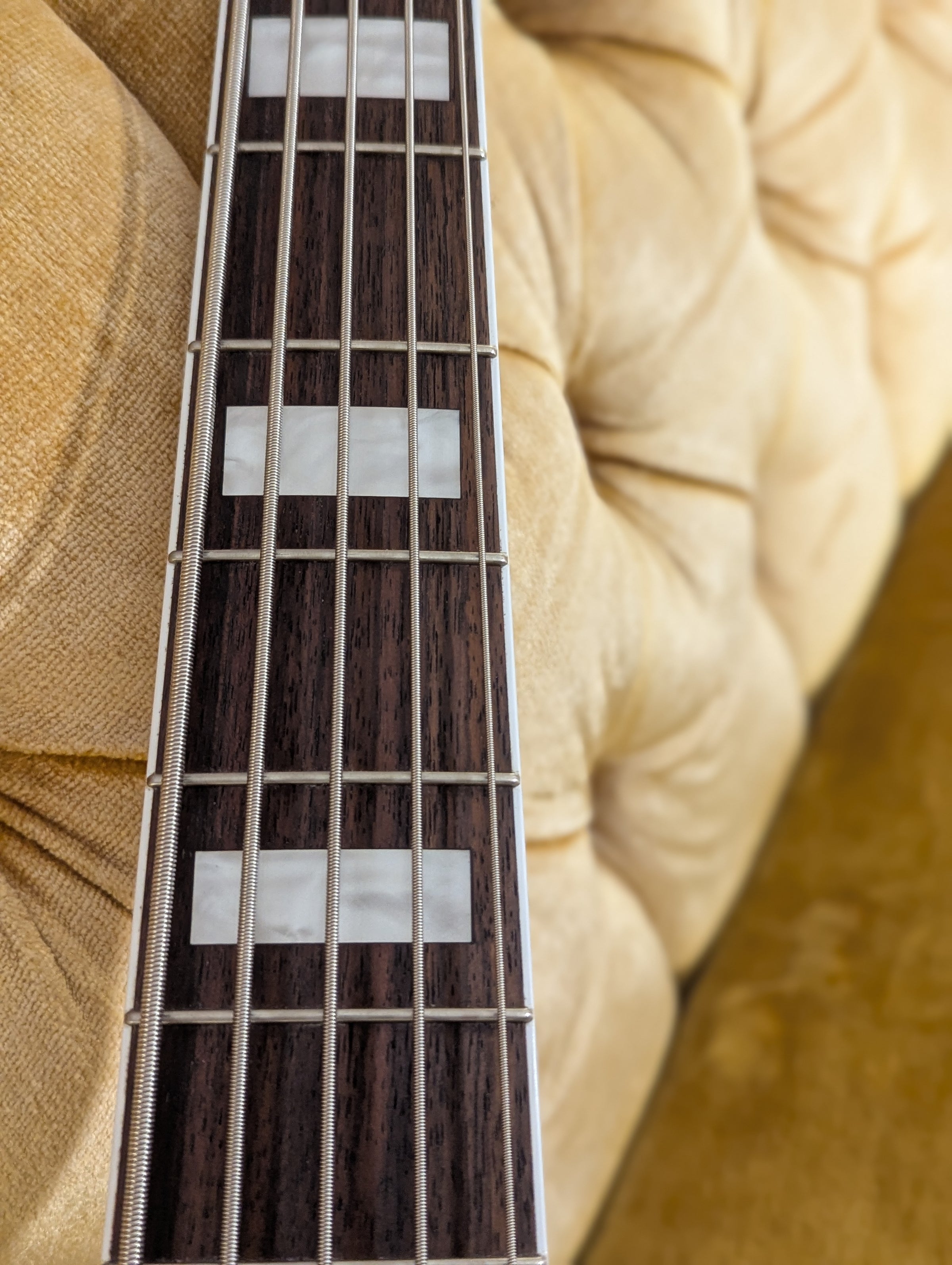 Lakland Skyline Darryl Jones DJ5 -5 String Bass - Lake Placid Blue